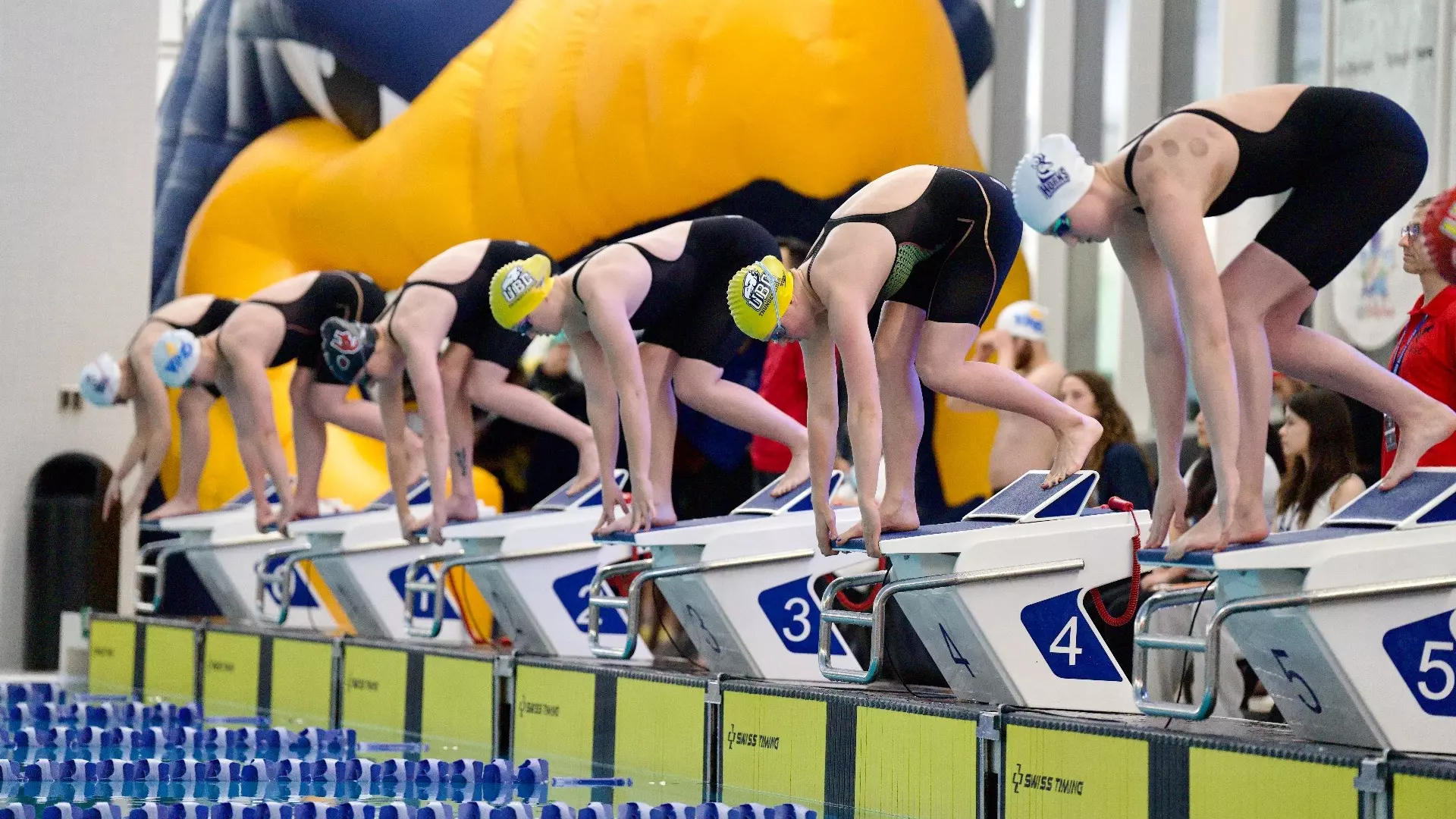 Pannell Swim Shop -Pannell Swim Shop convert